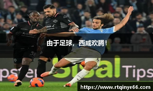 OD体育官方世界杯平台